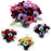 Pre-filled Anemone & Fern Grave Pot - One Selected at Random