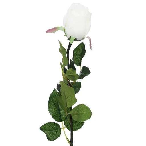 Prize Rose Bud x 64cm long - White