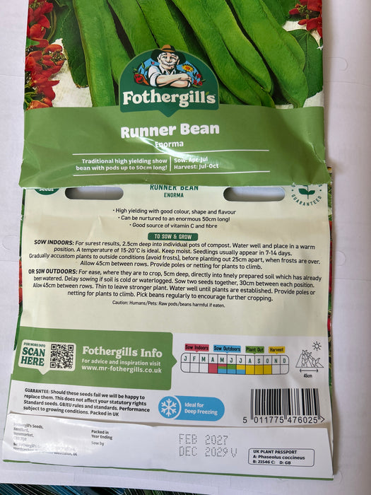 RUNNER BEAN Seeds Enorma