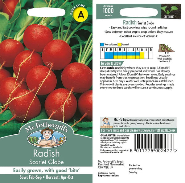 RADISH Scarlet Globe Seeds