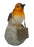 Robin on a  Rock with Hanging Plaque - Special Wife