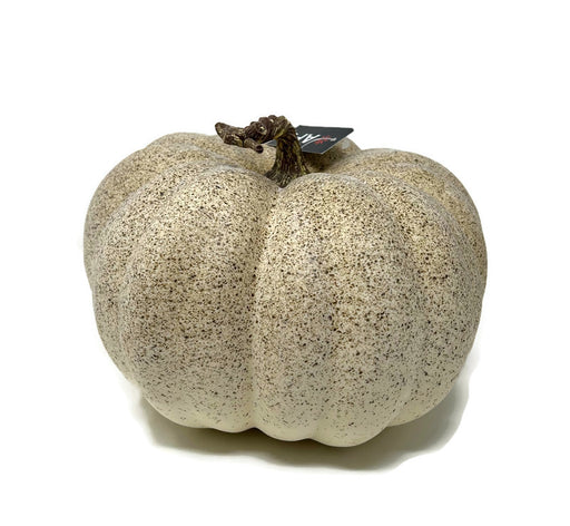 Rustic White Pumpkin D27 x H16cm