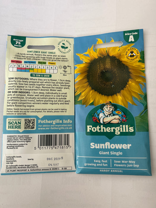 SUNFLOWER Giant Single Seeds