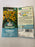 SUNFLOWER Little Dorrit Seeds