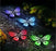 Set of Solar Butterfly Lights Multi Coloured LED - 2 functions -  9x6.7x9.6cm