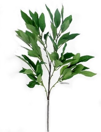 Shikibi Spray x 56cm - Green