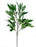 Shikibi Spray x 56cm - Green