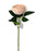 Single Peony Flower Stem x 62cm long - Soft Blush Peach