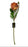 Single Stem Rose - Orange