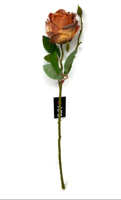 Single Stem Rose - Orange