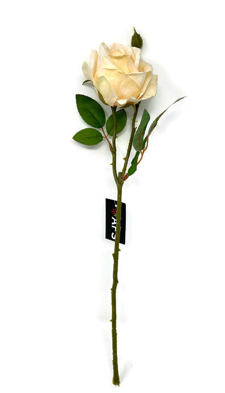 Single Stem Rose x 45cm length - Cream