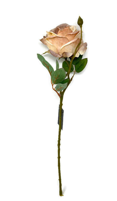 Single Stem Rose x 45cm length - Dusky Peach