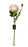 Single Stem Rose x 45cm length - Light Pink