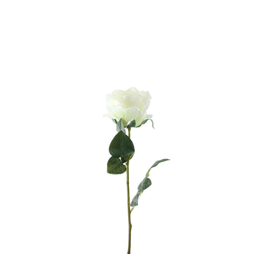 Single Stem Garden Rose x 35cm - Ivory