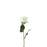 Single Stem Garden Rose x 35cm - Ivory