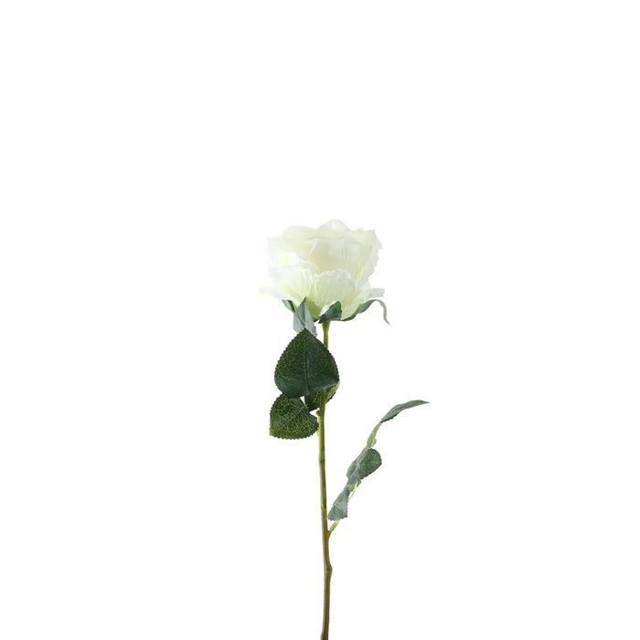 Single Stem Garden Rose x 35cm - Ivory