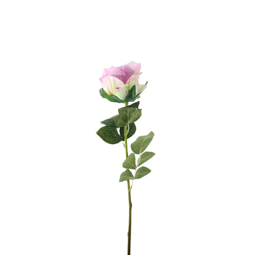 Single Stem Garden Rose x 35cm - Tonal Lilac