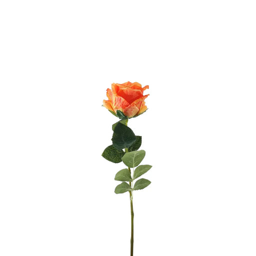 Single Stem Garden Rose x 35cm - Tonal Orange