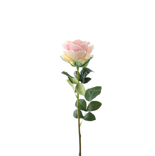 Single Stem Garden Rose x 35cm - Tonal Soft Pink