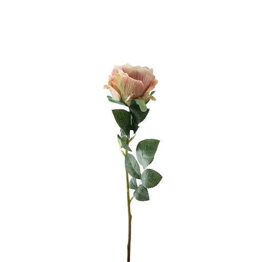 Single Stem Garden Rose x 35cm -  Vintage Blush
