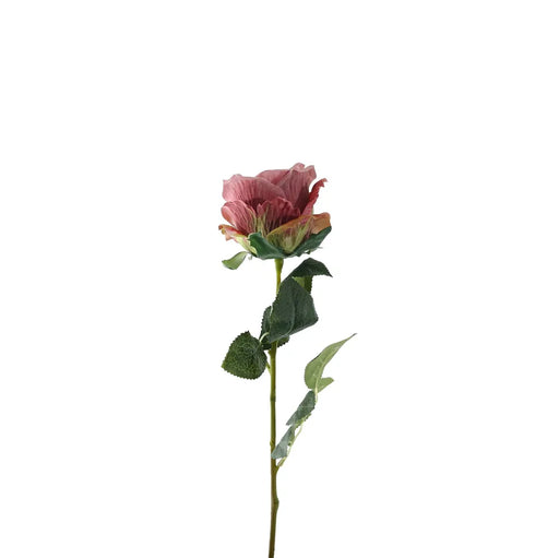 Single Stem Garden Rose x 35cm - Vintage Dusky Pink