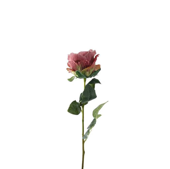 Single Stem Garden Rose x 35cm - Vintage Dusky Pink