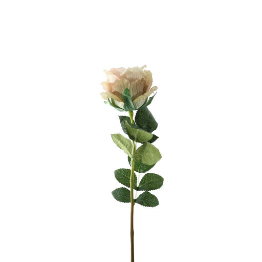 Single Stem Garden Rose x 35cm - Vintage Ivory