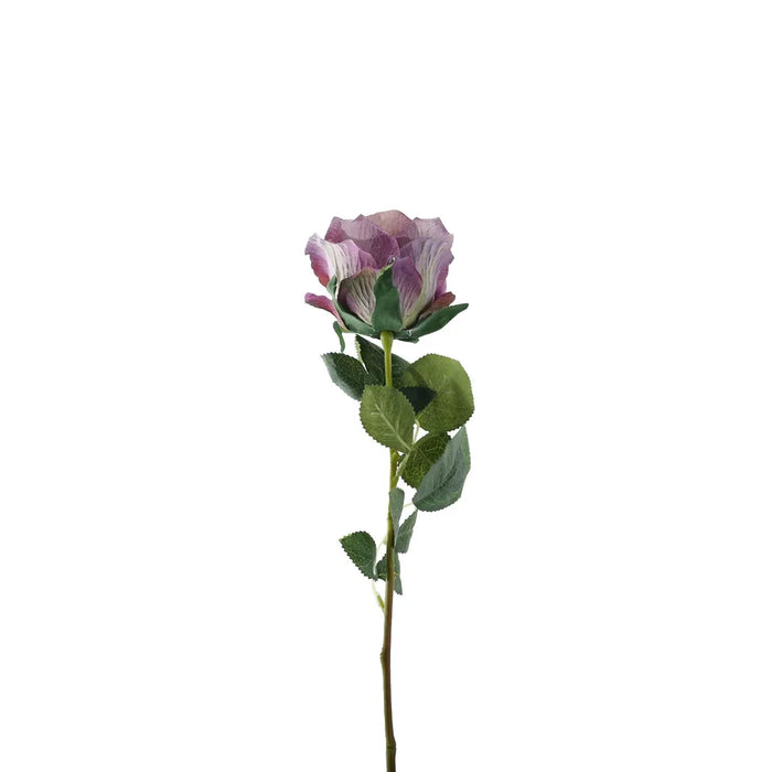 Single Stem Garden Rose x 35cm - Vintage Lilac