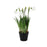 Artificial Potted Snowdrop Plant – 25cm
