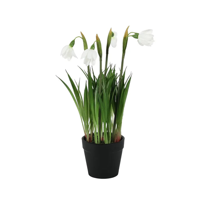 Artificial Potted Snowdrop Plant – 25cm