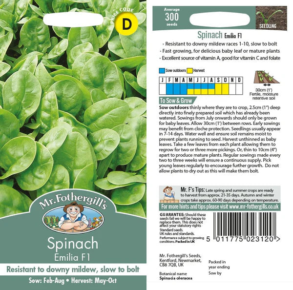 SPINACH Emilia F1 Seeds