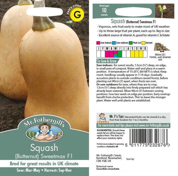 SQUASH (Butternut) Sweet Seeds