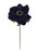 Single Velvet Anemone x 42.5cm long - Blue