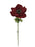 Single Velvet Anemone x 42.5cm long - Red