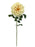 Single Velvet Open Rose - Cream (75cm long)