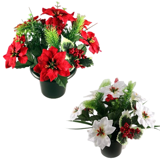 Velvet Poinsettia With Berries Grave Pot  - One Selected at Random