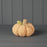 Peach Knitted Fabric Pumpkin H12 x D13cm