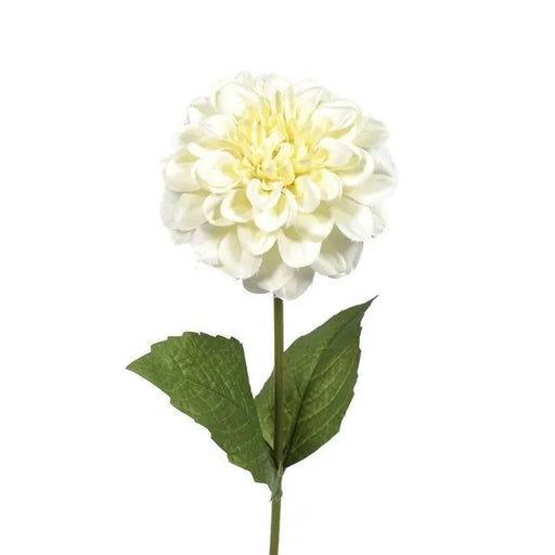 Zinnia Flower Stem x 46cm long - Cream 