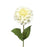 Zinnia Flower Stem x 46cm long - Cream 