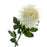 Chrysanthemum Bloom Flower Stem - Length 66cm - Ivory