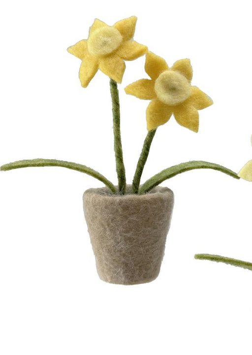 16.5cm Wool Daffodils