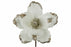 25cm Magnolia Pick  - Cream