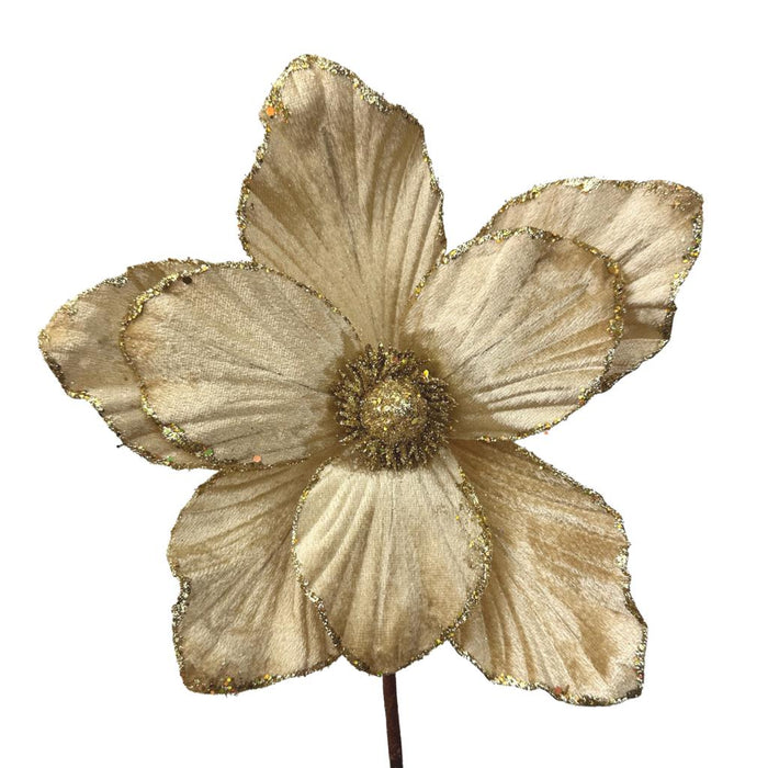 25cm Magnolia Pick  - Champagne