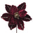 24cm Magnolia Stripe Pick  - Dark Red