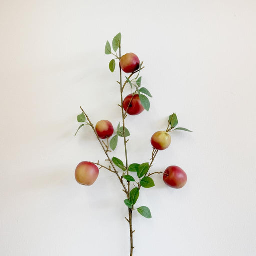 6  Red Apple Stem 77cm