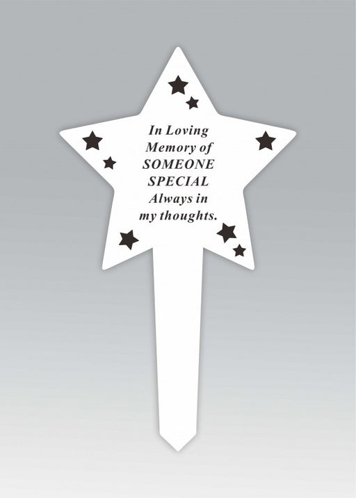 White Plastic Star Stake - in Loving Memory Of A Someone Special