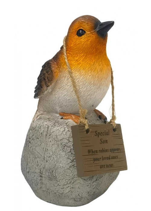 Robin on a  Rock with Hanging Plaque - Special Son