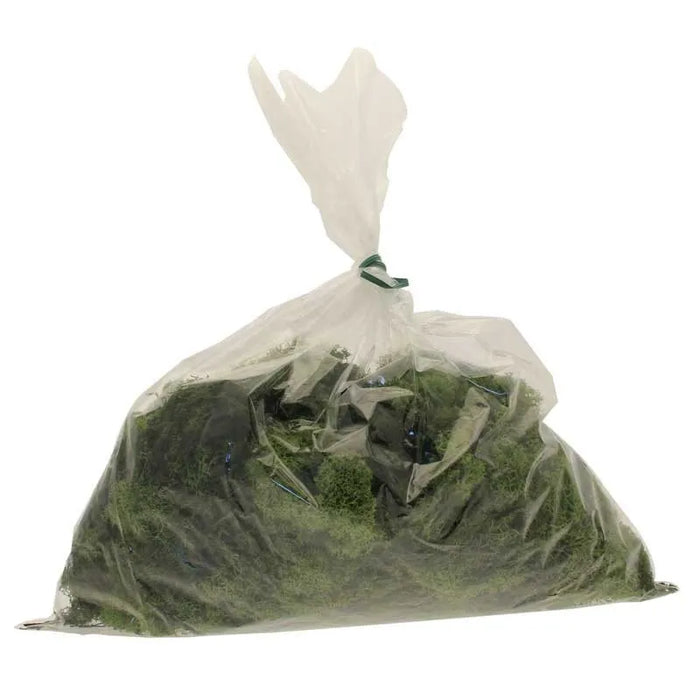 Light Green Reindeer Moss x 500g