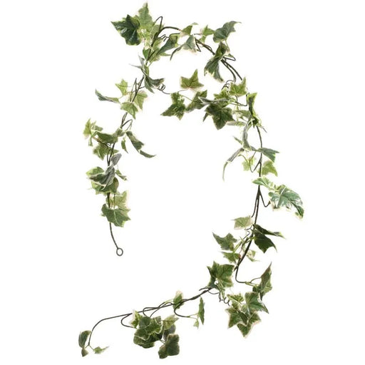 Holland Ivy Garland 6ft