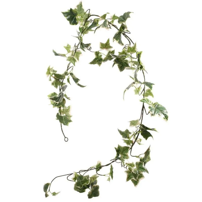 Holland Ivy Garland 6ft - Discontinued